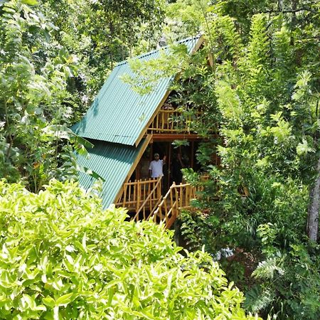 Eco Village Элла Экстерьер фото