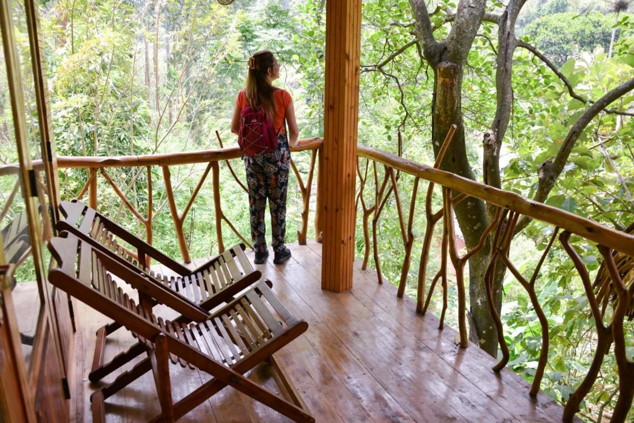 Eco Village Элла Экстерьер фото